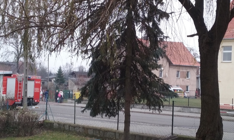 20151127_131644.jpg