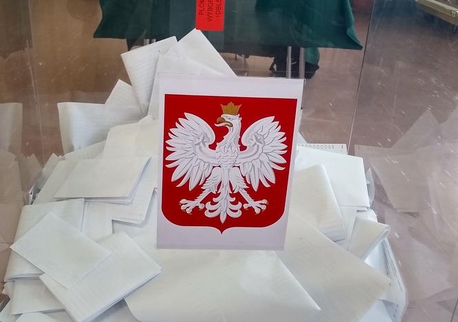 wybory.jpg