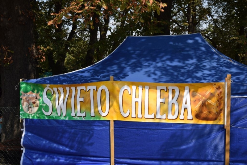 śwch22.jpg